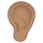 Ear